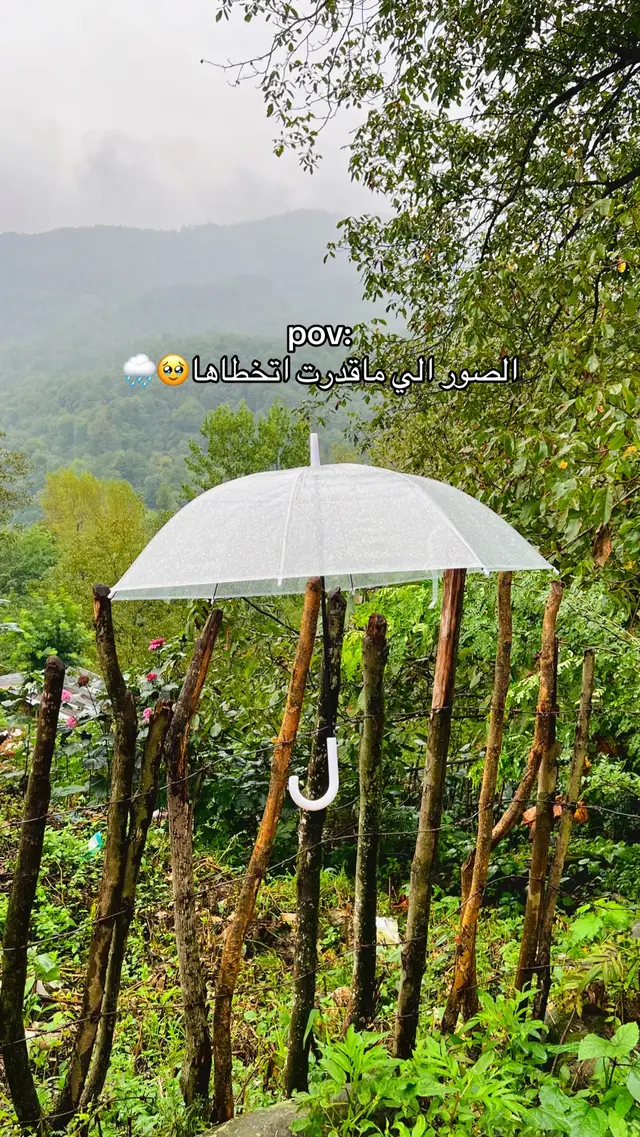 #مطر #fypシ #مطر_غيوم #منظر_طبيعي 