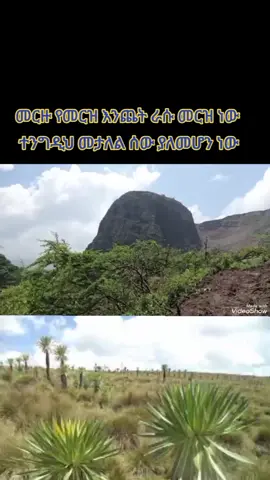 #creatorsearchinsights ጀግናው አንጥሮ ነው ቅቤን መቀባት እንዲያው ቢለደሱት ይከብዳል አናት 😍😍😍😍😍😍😍😍😍😍😍😍😍😍😍😍😍😍😍😍😍