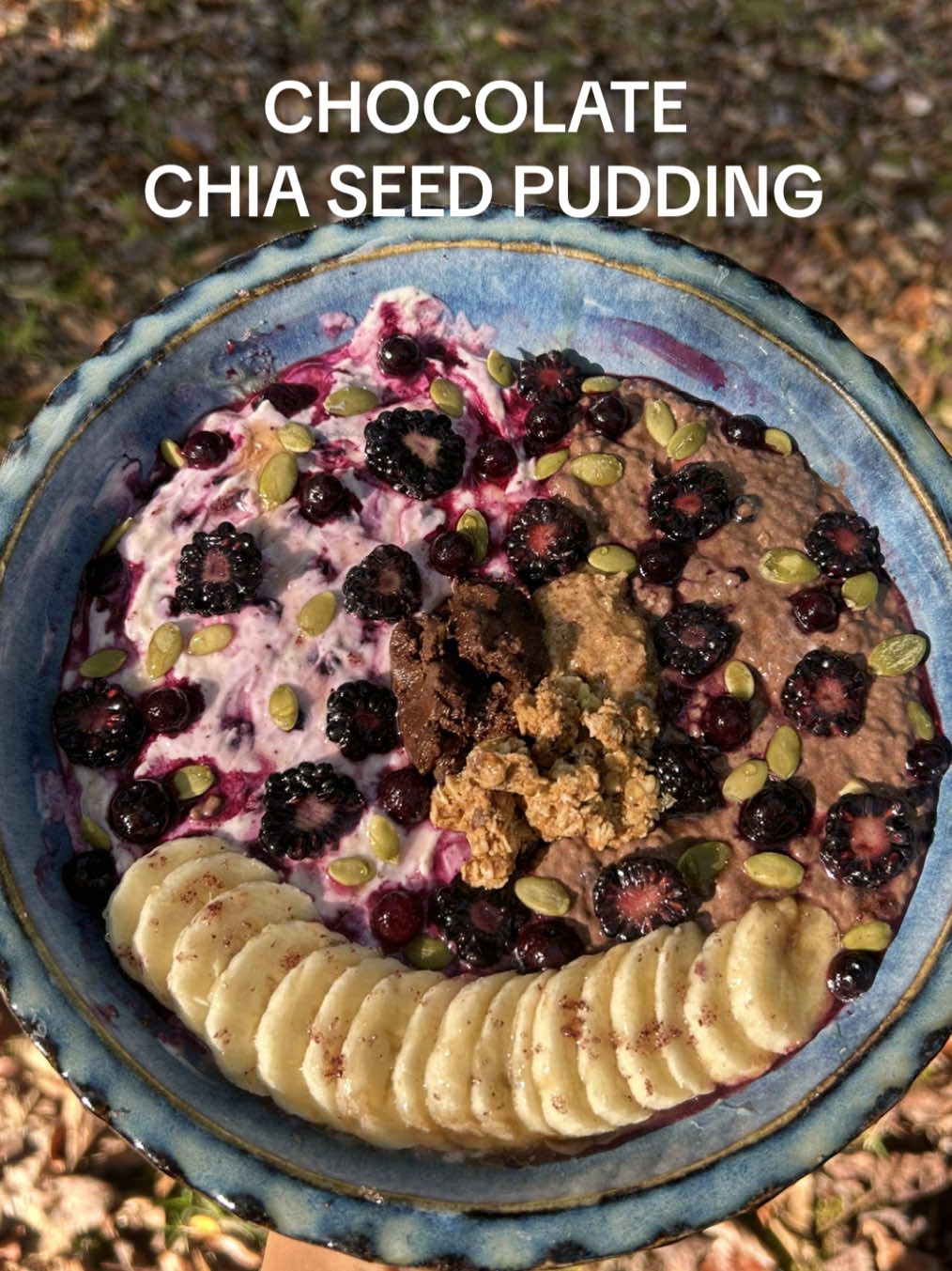 Replying to @happiness A staple recipe I’ll never get sick of🫐🐝🌿🍫🍌 Chocolate chia seed pudding: (makes about 2-3 servings)  - 4 tbsp chia seeds  - 2 tbsp cacao powder  - 1 cup almond milk  - 2 tbsp raw honey  - 1 banana smashed  - 2 tbsp Greek yogurt  - 1/2 cup frozen wild blueberries (optional) #chiaseedpudding #chiaseeds #cleaningredients #foodaccount #breakfastideas #highfiber #healthybreakfast #fyp #healthyrecipes #EasyRecipes #mealprep #highprotein 