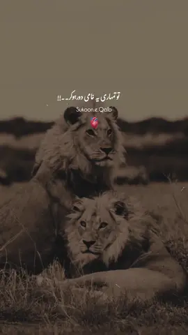 Tumara Bahtareen Dost Wo Hai Jo Tumha Tumarii Khameyian Bata Te Hain!♥️🙌🏻 #fyp #tiktok #viralvideos #foryou #foryoupageofficiall 