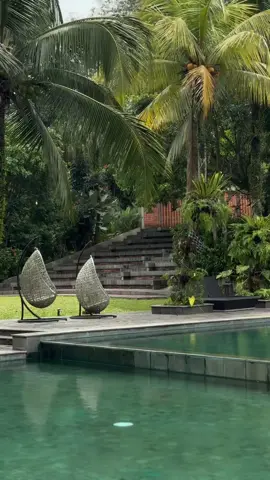 🌴