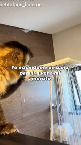 #comparte #comedia #meencanta #fyp #parati 