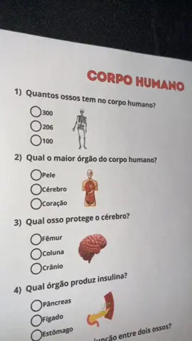 Corpo humano! #corpohumano #corpohumano #anatomia #perguntaserespostas 