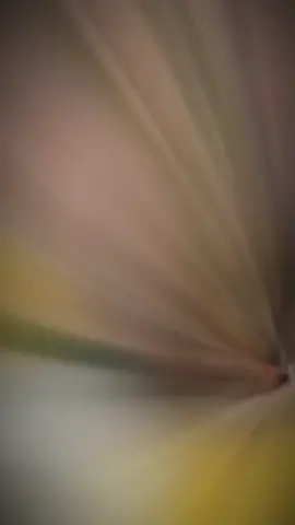 #xuhuong 