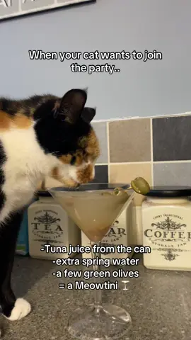 When your pet wants to join in #drinking #cat #cats #pet #rehab 
