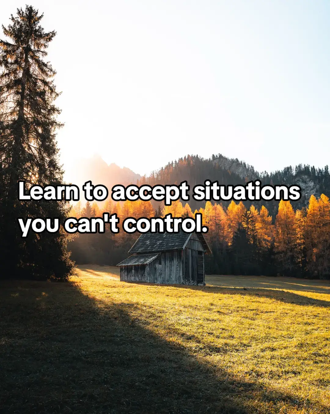 #LifeAdvice #datingadvice #attraction 