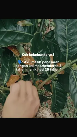 #petaniindonesia🇮🇩🇮🇩🇮🇩🌿🌿 #petanikopi #petanimuda #foryourpage#kebunkopipagaralam 