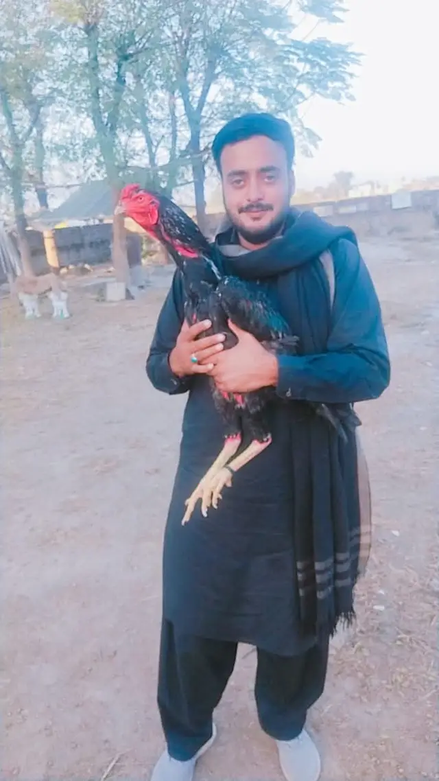@رانا ارسلان چھت راجپوتاں دی 🦅 @AMIR RANA @Rana Ikhlaq265 @RANA WASI @Rana Hamid @Malik Danish @Rana Umer umeree @Aleem Badshah @Rana Munaf @Rana Saffi @Anzar Nasir Rana 