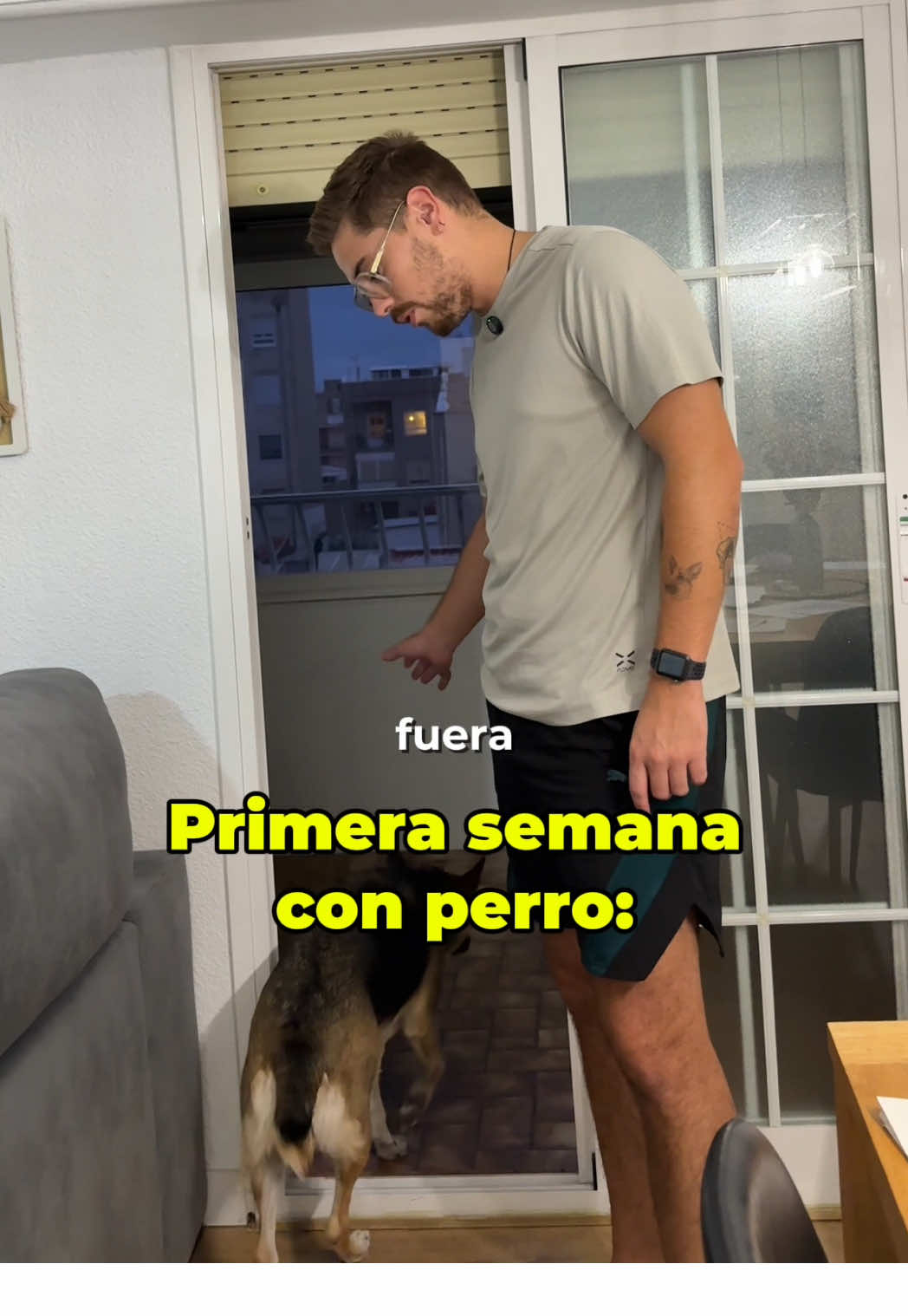 También te ha pasado esto con tu perro? 🤣 #perros 