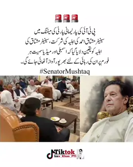 سینیٹر مشتاق احمد کے لئے ہر فورم پر آواز اٹھائی جائے گی ✊️🔥 #deartiktokteamdontunderviewmyvideos #unfreezemyacount #unfreeze #deartiktokteamplzzgrowmyaccount #foryoupage 