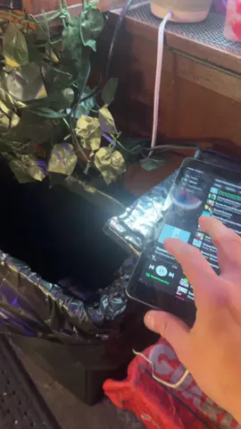 Like if you get the reference 