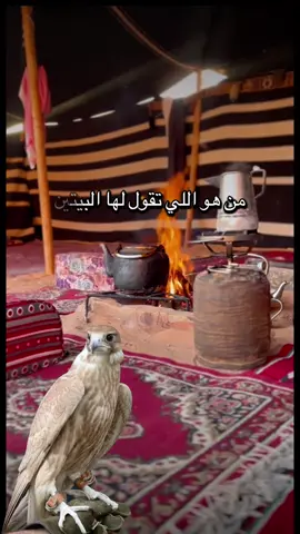 #أكسبلور_شعر_حكم_خواطر 