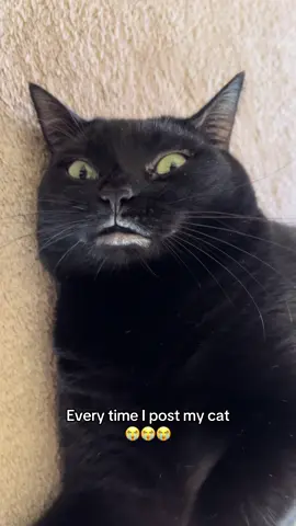 And it’s funny every time LMAO #cat #blackcat #fyp #chappedlips #grandpaeatspaint 