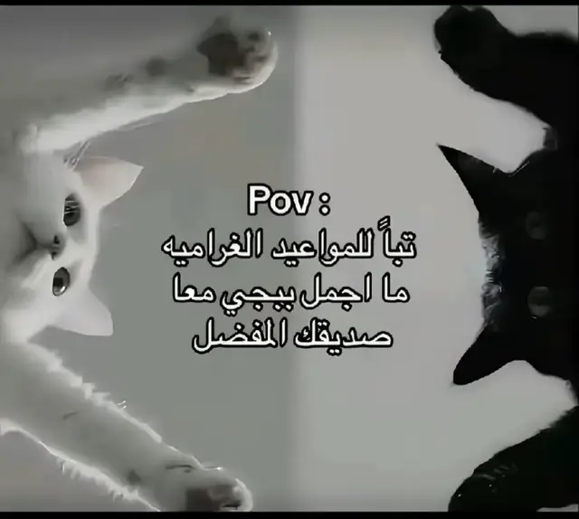 #الثنائي_المرعب #اقوى_لاعب_كلوز #المواهب_العربيه_ببجي_موبيل #ببجي #مالي_خلق_احط_هاشتاقات 