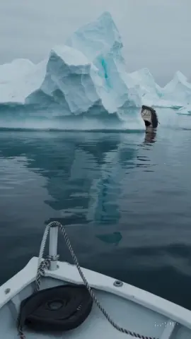 #antarctica #ocean #nightmarefuel #creature #aigenerated 