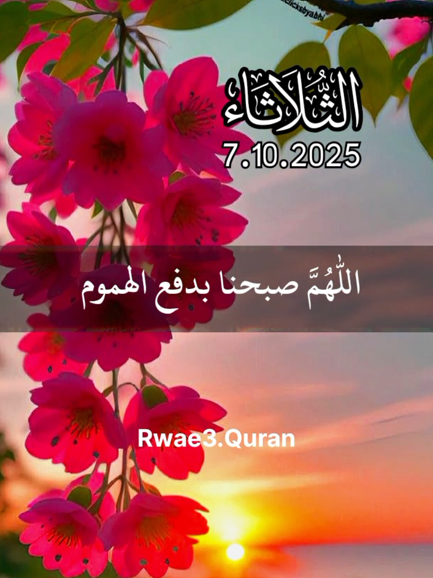 دعاء يوم الثلاثاء 🤲♥️ اللهم في يوم الثلاثاء 🤲♥️ افضل دعاء و حالات و ستوريات يوم الثلاثاء جديد 2025 🤲♥️ #دعاء_يوم_الثلاثاء #ادعية  #حالات_واتس #صباح_الخير  #اللهم_امين_يارب_العالمين 