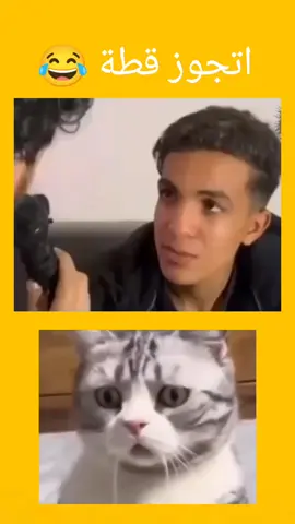 اتجوز قطة #مقاطع_مضحكة #الشعب_الصيني_ماله_حل😂😂 #كوميديا #funny 