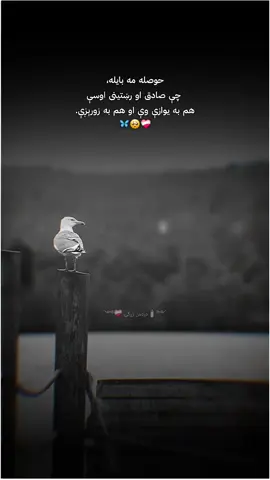 ༺🕯️دَرَدمن زړګۍ 🩶༻ #Foryou #foryoupage #viraltiktok #sadqoutes #afghanistan🇦🇫 