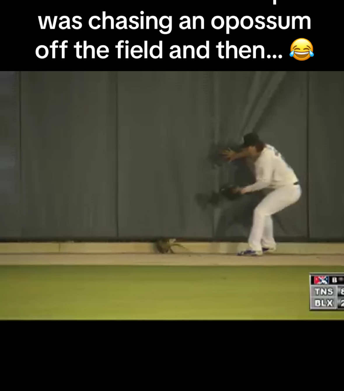 Thanks for the memories, @Brett Phillips 🥹 Congrats on the retirement! #baseball #opossumsoftiktok #funny @Biloxi Shuckers 