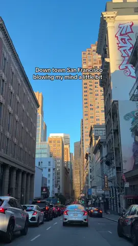 Cities are kinda wild 