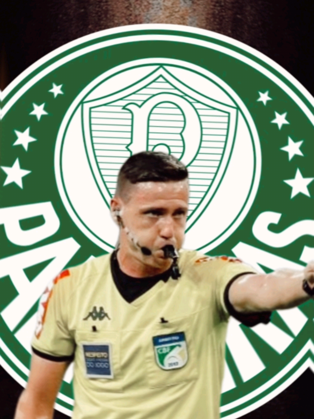 Lances polêmicos São Paulo e Palmeiras! #palmeiras #saopaulofc #ramonabattiabel #polemico #cbf 