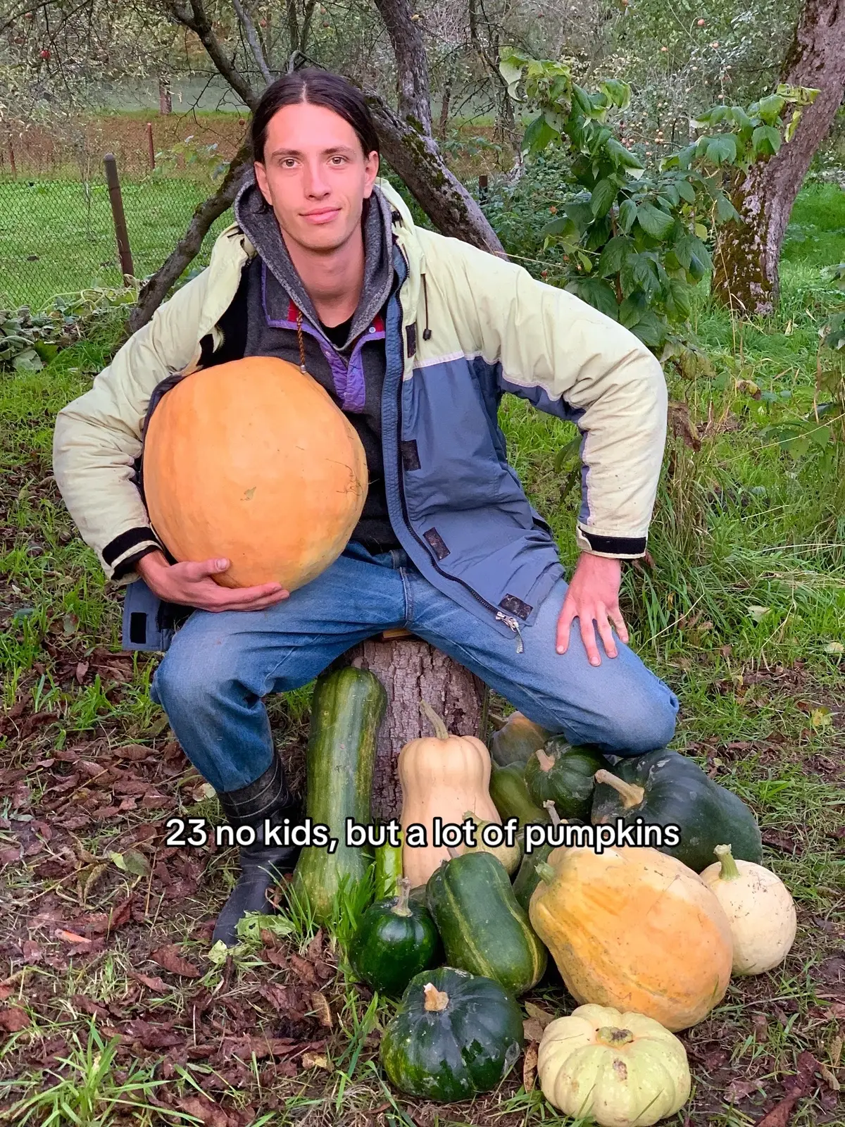 #pumpkinseason#pumpkin#recommendations 