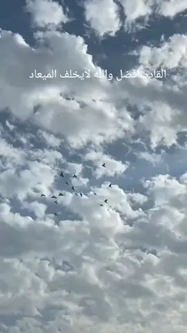 #ونعم _ بالله - العلي- العظيم...🙏