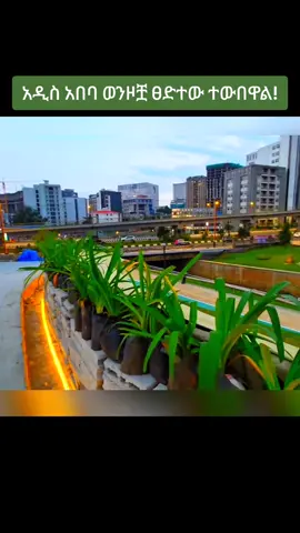 አዲስ አበባ ወንዞቿ ፀድተው ተውበዋል! #ውበት #አዳነችአቤቤ #adanechabebe #adanechabiebie 