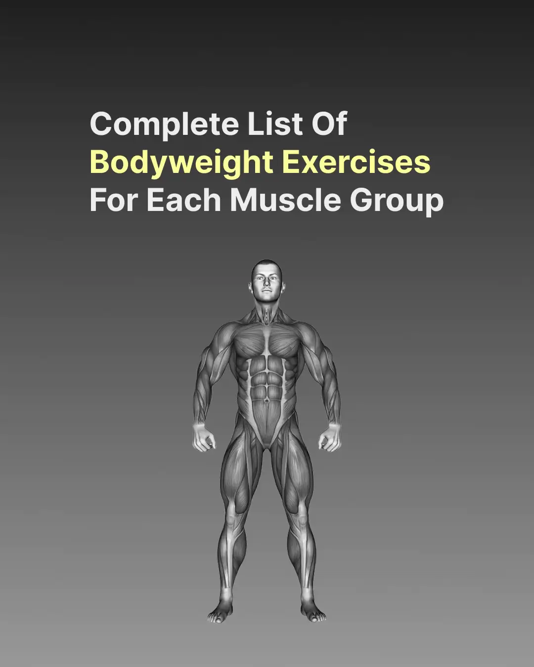 Here’s a full list of bodyweight exercises for every muscle group — build strength, definition, and control using nothing but your body.  ✅ Chest – push ups ✅ Back – Rows, Pull-ups ✅ Biceps – Bodyweight Curls ✅ Triceps – Diamond Push-ups ✅ Shoulders – Pike Push-ups ✅ Core – Leg Raises, Planks ✅ Legs – Squats, Lunges • Save this post for your next calisthenics workout! • Which muscle group do you want me to post next?  #Calisthenics #BodyweightWorkout #FitnessMotivation #HomeWorkout #StreetWorkout #FullBodyWorkout #NoGymNeeded #Wo