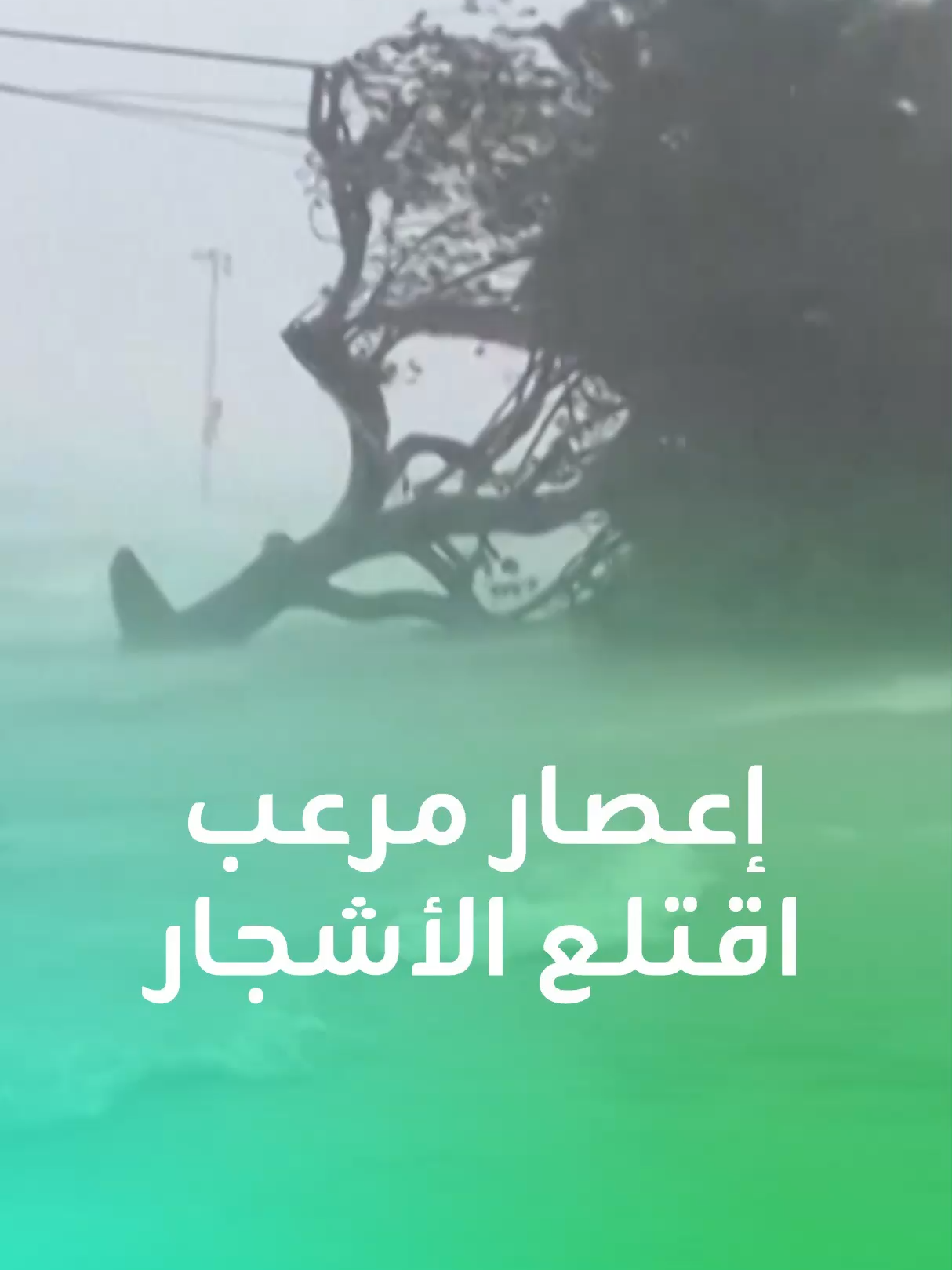 مشاهد مرعبة من 
