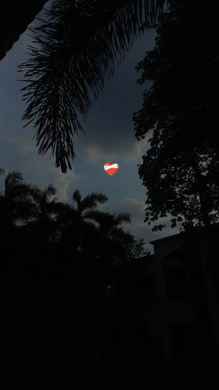 #حزيــــــــــــــــن💔🖤 #اكسبلورexplore❥🕊  #fypシ゚viral🖤video  #مجرد________ذووووووق🎶🎵💞 