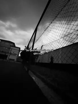 #viral_video #goviral 