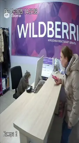 Типичная ситуация на пункте ПВЗ #WB #OZON #мем  ГАЙД И ПРОМТЫ СКОРО В ТГК.  Также розыгрыш на приглашение 