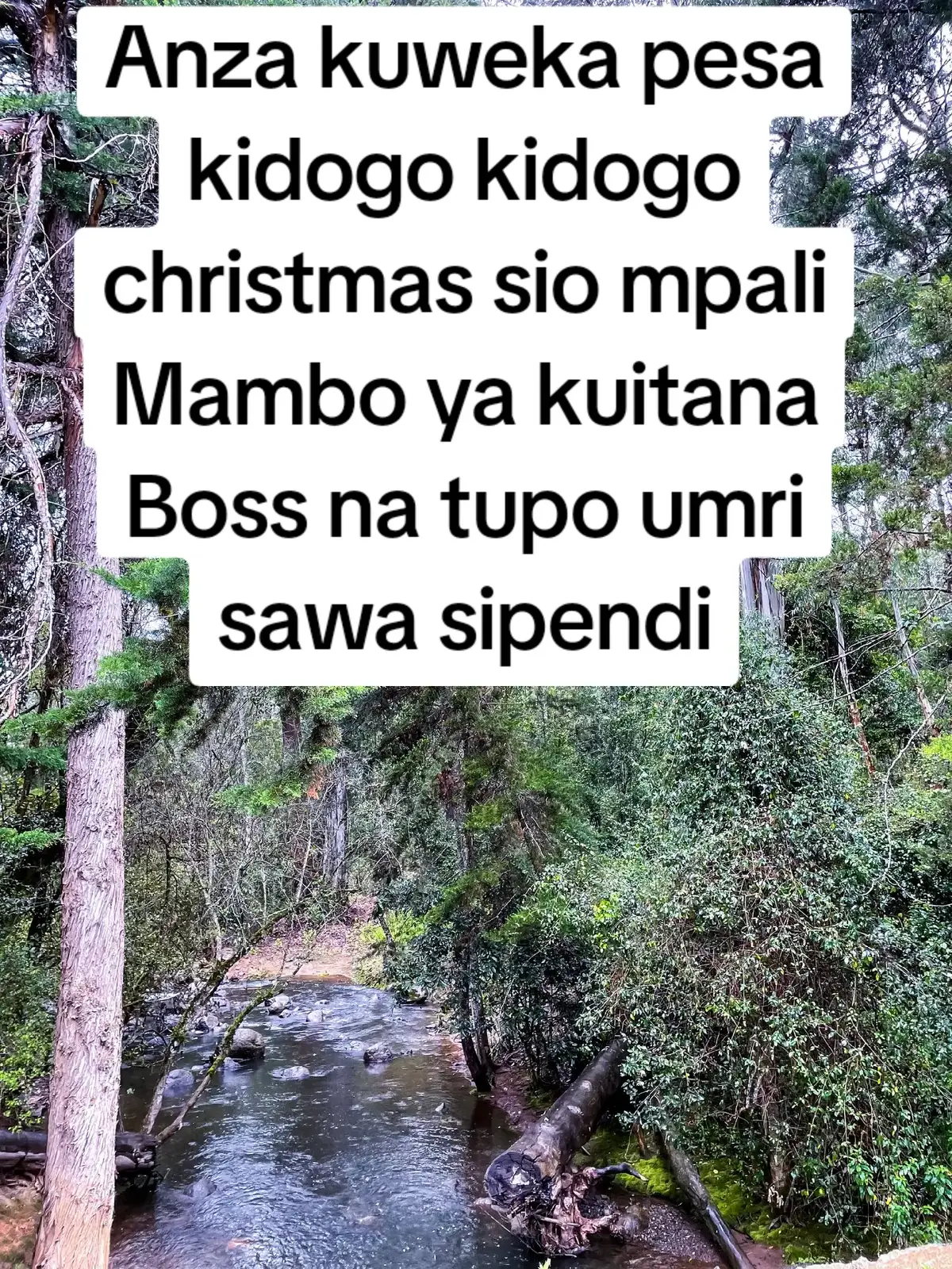 I hope volume Iko sawa kabiza 😂😂🫵🫴😔🤣