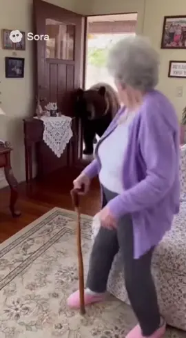 Grandma is not letting that slide #grandma #bear #fyp #foryoupage #ai