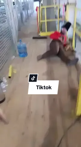 #stickwelder🇭🇳#LIVEIncentiveProgram #LIVECareer #PaidPartnership 