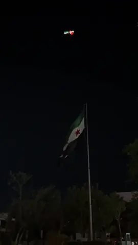 دمشق📍#سوريا🇸🇾 #الشعب_الصيني_ماله_حل😂😂 #syria #الكويت🇰🇼 #fyp 