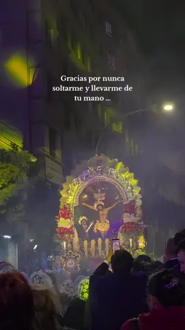 Señor de los Milagros 💜🤍💜#señordelosmilagros #mesmorado #octubre 