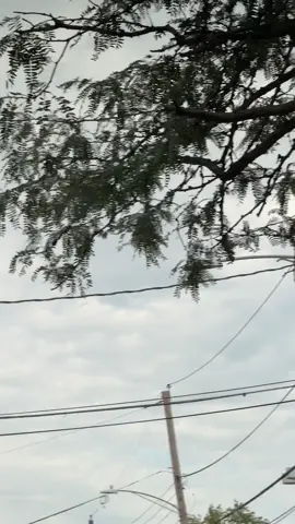October 6 2025 right behind Waukegan police department a girl patrolling for ice got arrested for following them and according to the agents she was obstructing an investigation… #fyp #badbunny #chicago #waukegan #ice