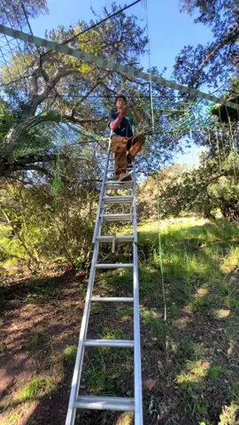 Another Monday in the trees! 