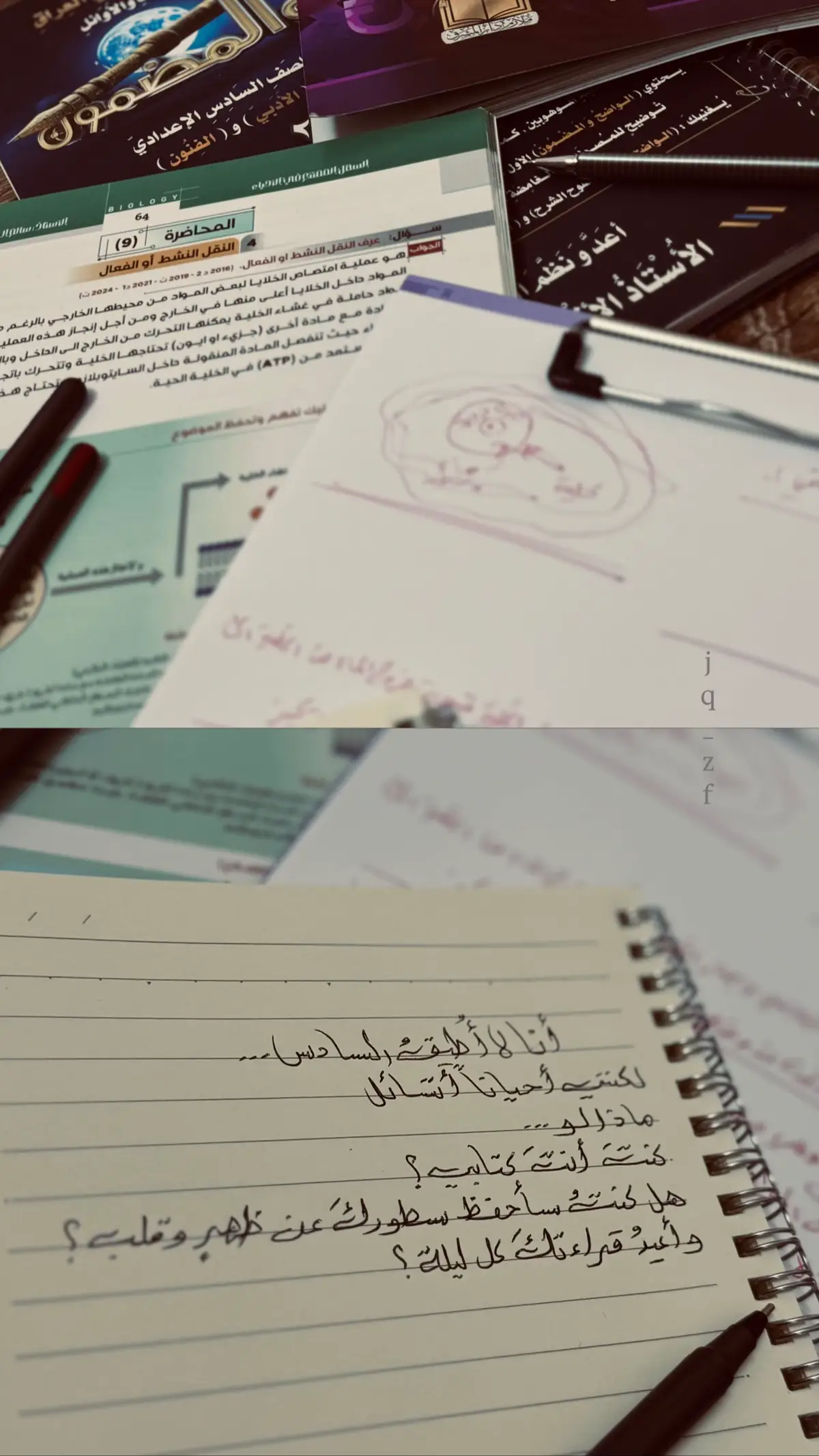#البصره #سادسيون ٪#بغداد #العراق #حب 