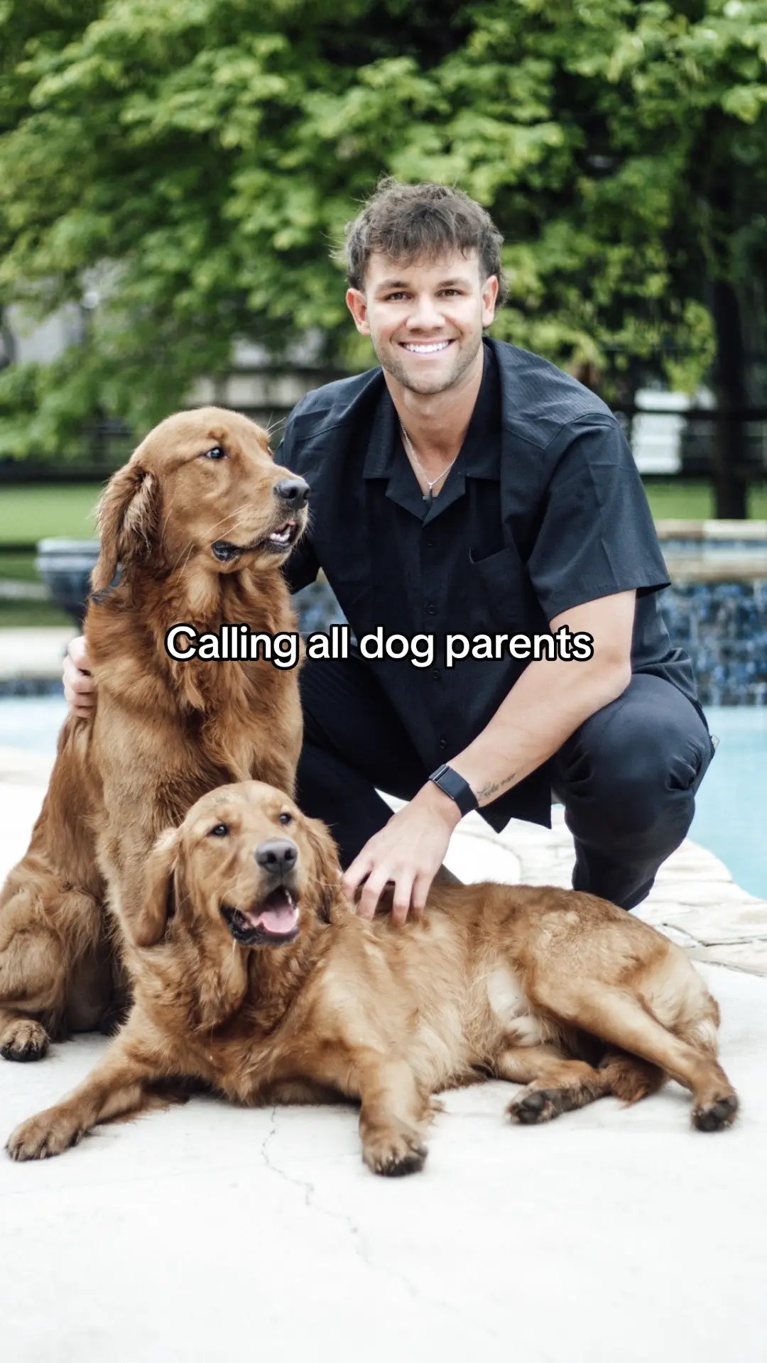 Where y’all at?? #fyp #foryoupage #dog #parent #followme 