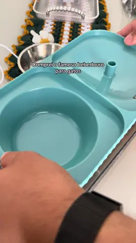 #gatinhosfofos #gatinhos 