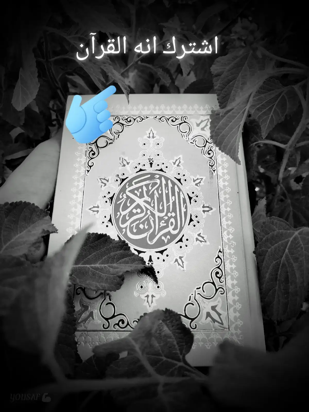 قران كريم #صلى على سيدنا محمد 🌺 قران #كريم #