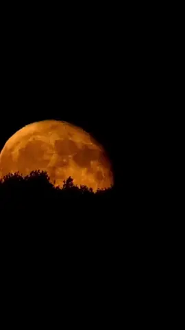 Gurbette olan sevdiğine bir söz bırak...🫀 #nurettinrençber  #gurbeteller  #keşfet  #söz  #sözler 