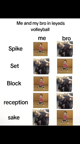 see #roblox #fypシ゚ #voleibollegends #twinsmiya #sanju 