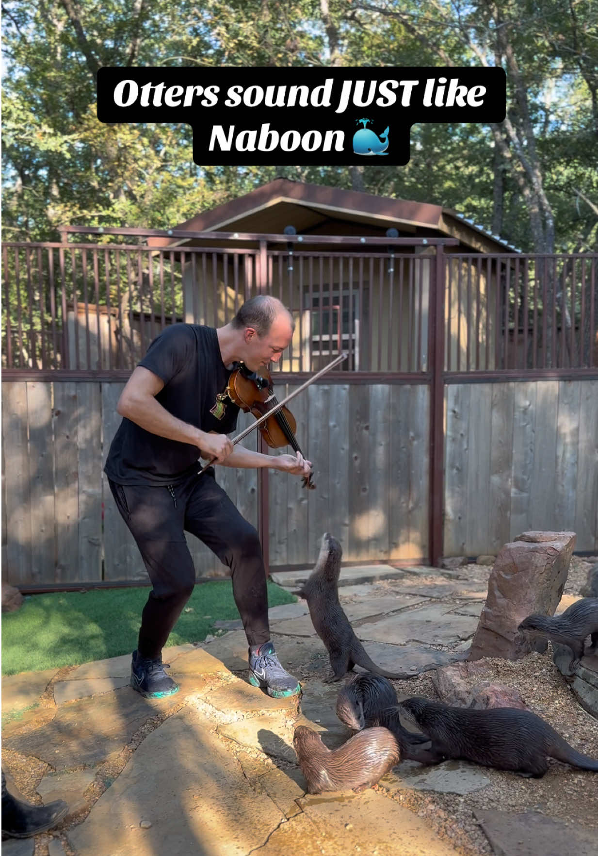 I started playing Binks’ Sake and this otter literally JUMPED out of the girl’s arms 😂 #onepiece #otters #zoo #valleyviewtx #violin  
