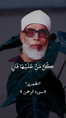 كُلُّ مَنۡ عَلَيۡهَا فَانٖ #الحصري #سورة_الرحمن #تلاوة_خاشعة #quran #قران_كريم 
