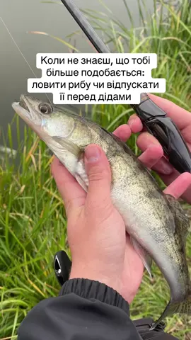 Відпускаєте рибу?🤨 #streetfishing #fishinglife 