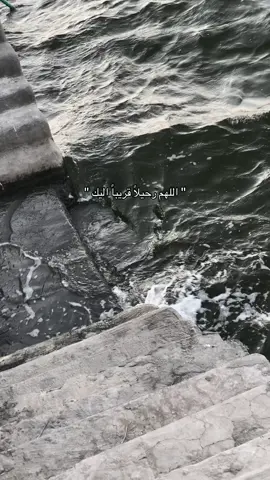 🪫آمين@﮼بنو ║𝐁𝐍𝐎 ⚜️  #اللهم_رحيلا_قريبا_يرضيك_فالروح_متعبة